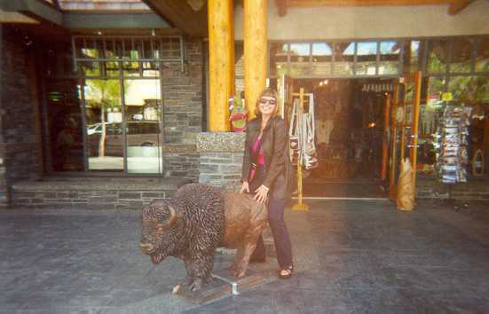 MO with bison